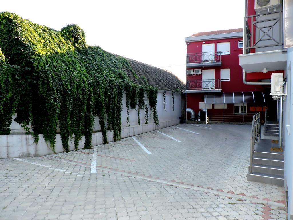 B&B Zmajevo Gnezdo 021 Sremska Kamenica Ngoại thất bức ảnh