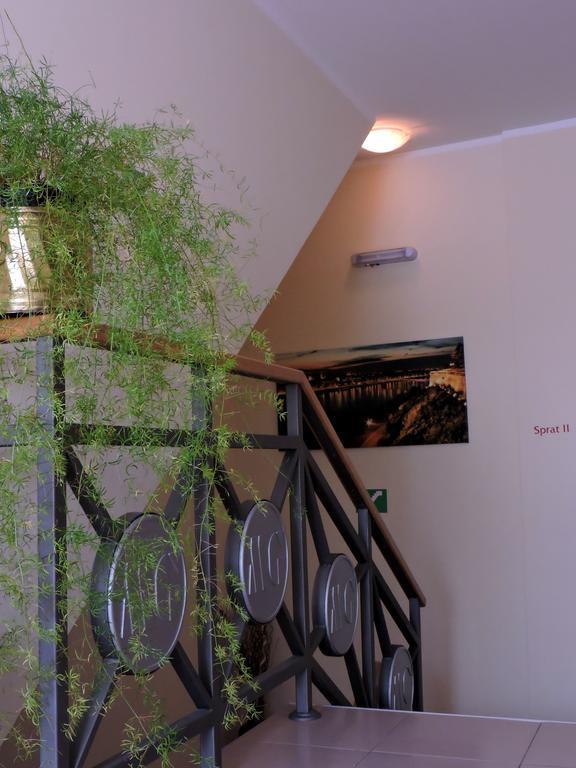 B&B Zmajevo Gnezdo 021 Sremska Kamenica Ngoại thất bức ảnh