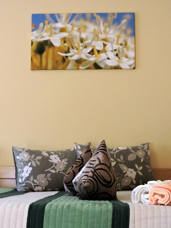 B&B Zmajevo Gnezdo 021 Sremska Kamenica Ngoại thất bức ảnh