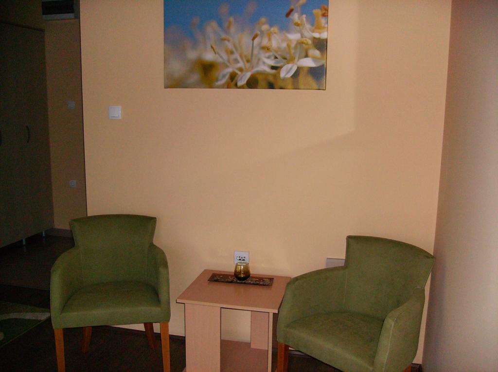 B&B Zmajevo Gnezdo 021 Sremska Kamenica Ngoại thất bức ảnh